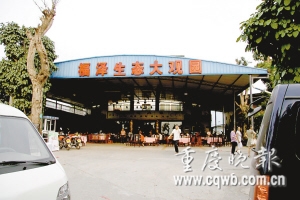 л��Ƽ�ڸ�����̬���԰�Ķĳ� ������ͼƬ�� 