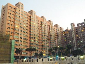 ����240��Ů������̨�ؼҲ��Ҵ�14¥׹������