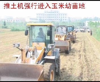 居委会告县政府强征土地胜诉 判决成一纸空文