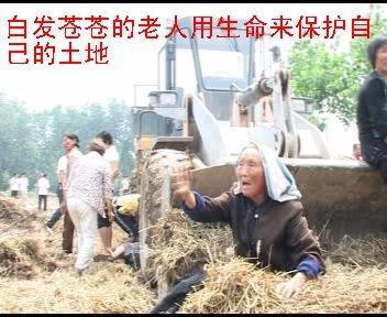 居委会告县政府强征土地胜诉 判决成一纸空文