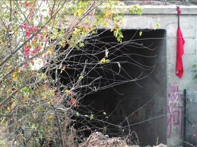 北京黑窝点现场宰杀宠物犬 名犬肉被低价甩卖