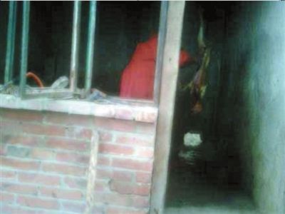 北京黑窝点现场宰杀宠物犬 名犬肉被低价甩卖