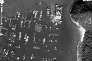 深圳现亿元“海上皇宫”被指违建遭起诉(图)