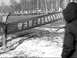 村民用村长茶杯被拘幕后:当地存大量非法征地