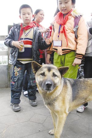 福建南平血案疑犯供认原计划杀死30个孩子