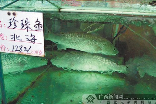 揭秘海鲜餐厅潜规则 一道菜宰客七百元(图)