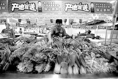 菜价上涨价格近期难降下 居民应对招数多(图)