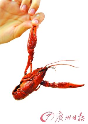 南京食龙虾致多人发病事件 洗虾粉或系强酸