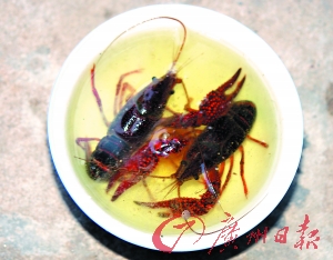 南京食龙虾致多人发病事件 洗虾粉或系强酸