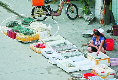 摊贩当街叫卖保护动物 眼镜蛇一条600元(图)