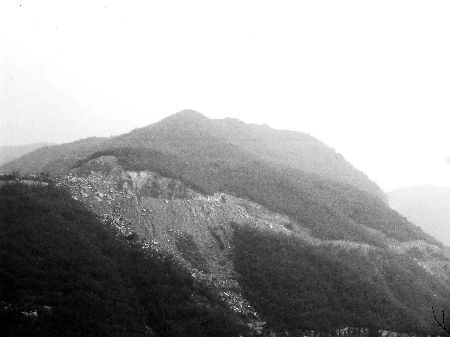 河南博爱国家重点林区遭采矿者毁灭性破坏(图)