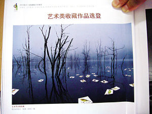 全国摄影艺术展金奖艺术照被指盗图重制(图)