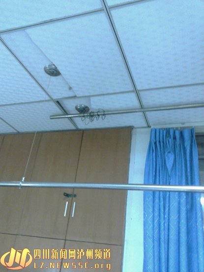 医院老鼠成灾 病人被咬医生不做消毒处理(图)