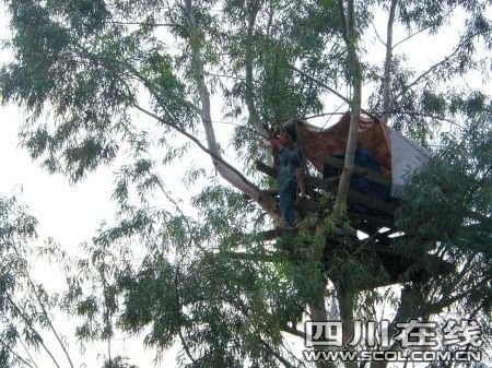 生活:陈茂国每天吃喝拉撒全在树上解决,并用塑料袋装好放到地上处理