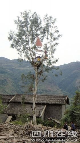 树枝上挂着一个喇叭,陈茂国每天高声放着喇叭给村民“宣讲”政策