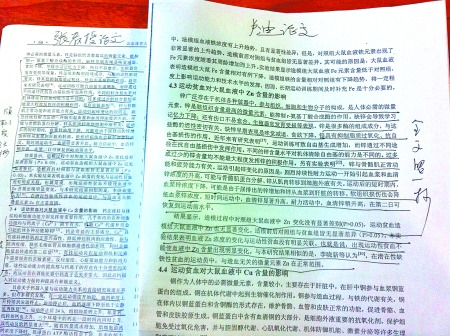 卢迪和张丽论文对比